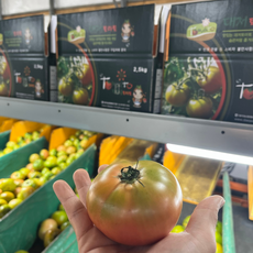 농협정품 대저토마토 짭짤이 토마토 가정용 특품 산지직송, 1박스, 2.5kg(일반 L)