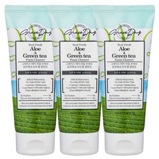그레이스데이 리얼 프레쉬 알로에 녹차 폼클렌징, 100ml, 3개