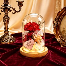 시들지 않는 유리돔 무드등 카네이션 꽃다발 엄마와 시어머니께 드리는 어버이날 선물생일 선물 1개 분홍색, 빨간색