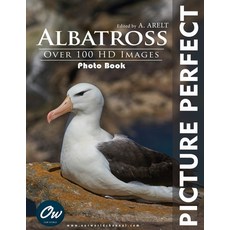 (영문도서)Albatross: Picture Perfect Photo Book Paperback, Independently Published, English, 9798299011029