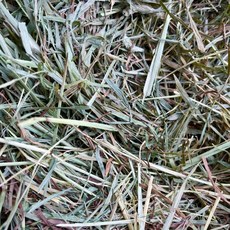 愛兔草 NEW 提摩西三割牧草 (兔子/天竺鼠/龍貓適用), 1個, 【B款】【草偏短】葉多提摩西,【過篩】500g