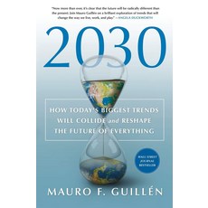 2030:How Today's Biggest Trends Will Collide and Reshape the Future of Everything, St Martin's Press