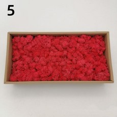 신상품 인공 녹색 식물 영원한 생명 이끼 잔디 DIY 화분에 심은 미니 풍경 가짜 정원 벽 장식 보존, 25)20g, 5