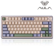 AULA 독거미 유무선 블루투스 기계식 키보드, 그린, (독거미) AULA F75 한영자판, 경해축