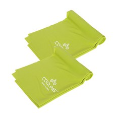 RTX 인견 쿨링 타올 2장, 그린