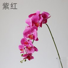 3D打印膠片9頭手感蝴蝶蘭仿真花家居擺件裝飾假花仿真花永生花人造花乾燥花永不凋零拍照道具假花裝飾居家裝飾, 紫紅, 1個