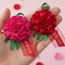 상일상회 어버이날 카네이션 브로치 만들기 예쁜 미니 5cm, 5개, 레드