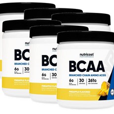 뉴트리코스트 아미노산 파우더 파인애플맛 Nutricost BCAA, 6개, 261g