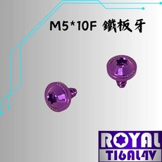 ROYAL 鈦合金螺絲 M5*10F 飛碟頭鐵板牙螺絲, 1個
