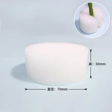수경 스폰지 정원 야채 흙이 없는 문화 보육 모종 심기 바구니 식물 뿌리 50 개, 03 70x30mm