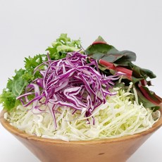 100% 국내산 의령농산 유알팜 당일채소 당일제조 당일발송 양배추 믹스 샐러드 500g