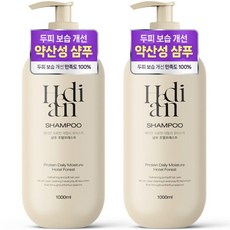 2개 헤디안 샴푸 대용량 프로틴 데일리 단백질 모이스처 퍼퓸 호텔포레스트향 1000ml, 1L