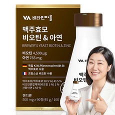 비타민마을 와이즈 맥주효모 비오틴 앤 아연, 90정, 1개