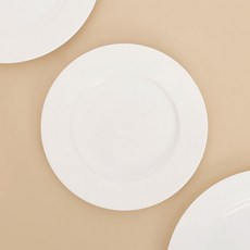 이라이프 다회용 접시 10개입 20cm 일회용그릇you9+9cFs