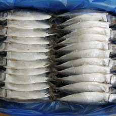 건어물천국 자반 고등어 중대30cm 24손48마리 가정용 업소용 대용량 벌크상품, 48개