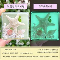 견본 곤충 표본 박스 곤충표본세트 생물학적 모형 선물용 과학교구 과학실험키트, A_해성 야광 2.5호, 1개