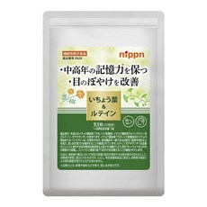 닛픈 은행잎 앤 루테인 타블렛, 1개, 93정