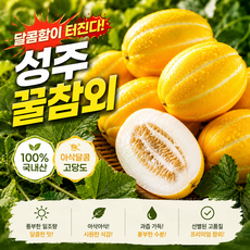 [산지특별할인가]농부자존심 꿀범벅참외 극가성비 못난이 성주참외, 1박스, 2kg(혼합과)