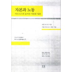 자본과 노동:마르크스의 숨겨진 자본론 입문, 한울아카데미, 요한 모스트 저