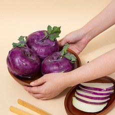 [더조은푸드] 바람맞고 자란 제주 가정용 콜라비 (중대과), 1박스, 5kg