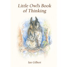 (영문도서)Little Owl's Book of Thinking Paperback, Independent Thinking, English, 9781781354391