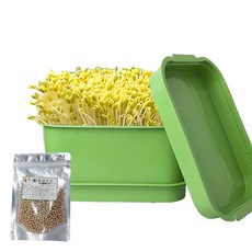 온빛 가정용 콩나물 재배기, 사각형 콩나물 재배기