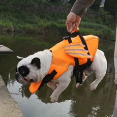 반려동물 구명 조끼 반려견 애견 물놀이 강아지 구명 조끼 수영복 스포츠 워터 여름, 오렌지