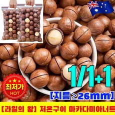 [과일의 왕] 1+1다미아 (우유향)저온구이 다미아너트 껍질 까먹는 통 다미아, 1개, 250g
