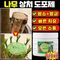 [쉬운 사용] 나무 상처보호제 수목 식물 도포제 나무 절단면 치료제 식물 줄기 상처 접목 사은품 랜덤증정, 1개, 200g
