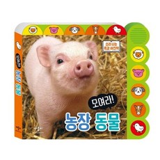 [애플비북스] 모여라 농장 동물 [개정판] (소리 나는 촉감 사진책) [따뜻한책방]