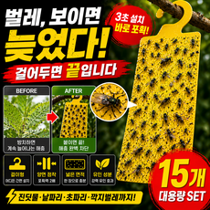 파리끈끈이 걸이형 러브버그 날파리 초파리 트랩 벌레 제거 끈끈이 해충 포획, 15개, 1세트
