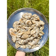 (영롱한수산) 여수 자연산 키조개 부산물 날개살 500g (냉동), 1개, 500