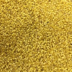 大武大竹·加出谷 小米 臺東原住民部落特產, 1個, 600g/一斤