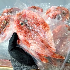 매운탕용 자연산 손질 쏨뱅이 500g 2-5마리 4인분, 1개, 쏨뱅이500g