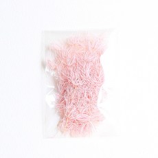 화연양화 프리저브드플라워 아스파라거스 미리오 밍펀 1g, 02 페일핑크