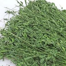苜蓿草 牧草, 1個