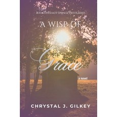 (영문도서)A Wisp of Grace: Book 3 in Shady Springs Virtue Series Hardcover, Embold Books, English, 9798992045048