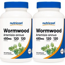 뉴트리코스트 쑥 450mg, 120개, 2개