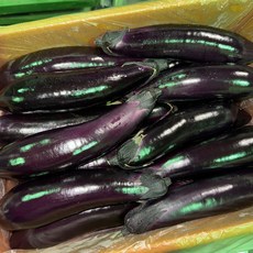 가지 국내산 못난이 상품 5kg, 1박스