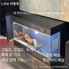 PVC 파충류 사육장 전면형 수조 거북이 도마뱀 거미 전용 보온 일체형 사육통, 1개, 30-60cm 제품 조립 추가요금
