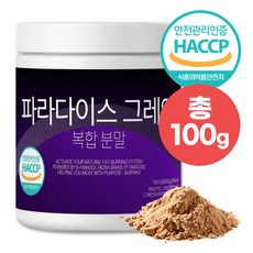 큰나무 파라다이스 그레인 분말 식약청인증 100g, 1개