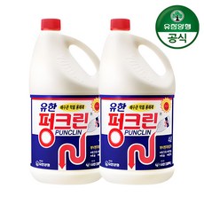 펑크린 배수구세정제, 4L, 2개