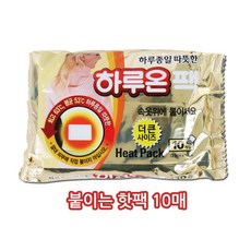 지엘 하루종일 따뜻한 더큰사이즈 하루온팩 14시간지속, 20개