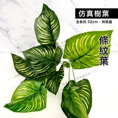 【閃電聯盟】仿真龜背芋 爬蟲造景 樹棲 爬龍 守宮 變色龍 仿真樹葉 蜥蜴攀爬 生態缸造景, 1個, 條紋葉, 綠色