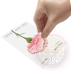 메모지 종이메모 패드모음 빠른배송 기록 강의 사무, 벚꽃S