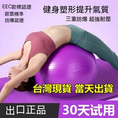 EEC認證 健身球 加厚防爆 瑜伽球 運動平衡球 30天試用, 1個, 藍色,加厚防爆瑜珈球65cm（磨砂款）