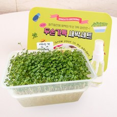 세경팜 두손가득 새싹 재배세트 다채 비타민싹 수경재배키트 세트, 2개
