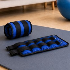루아즈 헬스 손목 발목 웨이트 중량밴드 모래주머니 2p, 블루, 2kg