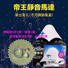 TEION 帝王靜音馬達 單出氣孔, 1個