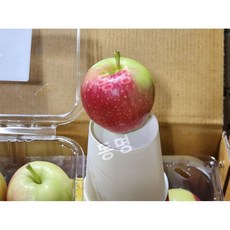 경북 영천 미니 사과 에스 선물세트 2kg